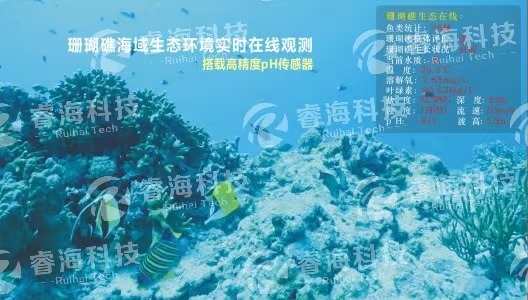 微信圖片_20250225165056